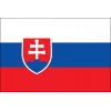Словакия (до 21)