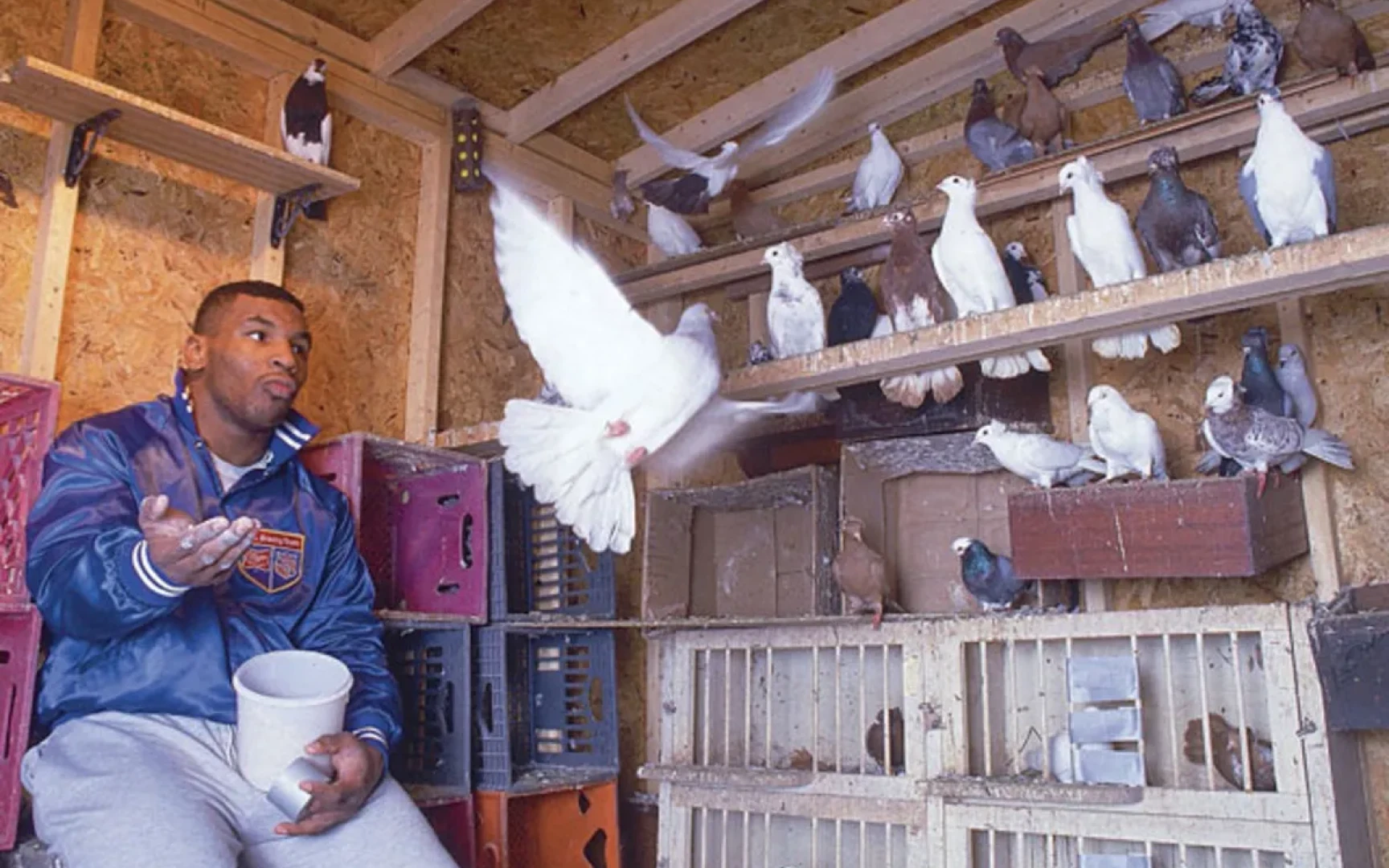 Майк Тайсон и его голуби: другая сторона легенды бокса