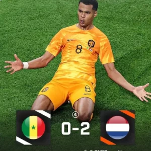 Трансферная цель «МЮ» принёс победу Нидерландам в матче с Сенегалом