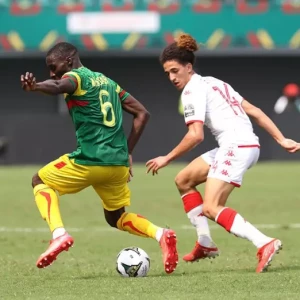 Тунис — Мали, скандал в матче Кубка африканских наций, судья закончил матч раньше времени