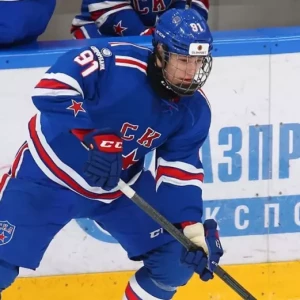 Один российский хоккеист попал в топ-16 драфта НХЛ-2024 по версии The Hockey Writers