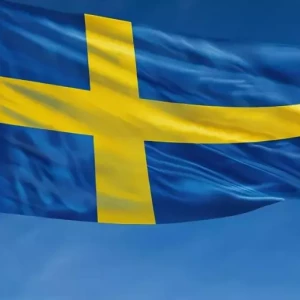 Шведы одержали убедительную победу над Эстонией в отборочном матче на Евро-2024