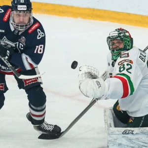 «Ак Барс» одержал выездную победу над «Нефтехимиком» в матче КХЛ