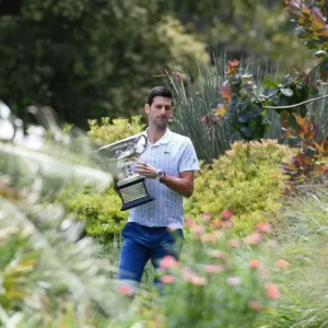 Новак Джокович: Как "особые отношения" с деревом помогают теннисисту в его стремлении к исторической победе на Australian Open