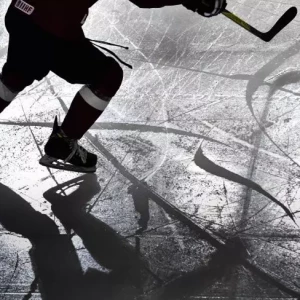 Хоккейный клуб ECHL "Ньюфаундленд Гроулерс" прекратил выступления в середине сезона.