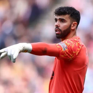 "Арсенал" официально арендует голкипера "Брентфорда" Давида Райю