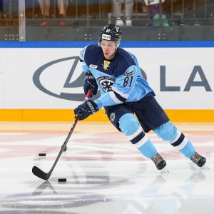 «Сибирь» одержала разгромную победу над «Сочи» в матче КХЛ на своём льду.