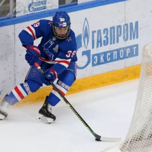 «Предлагают оставить Федотова и отправить Мичкова в НХЛ взамен вратаря ЦСКА»