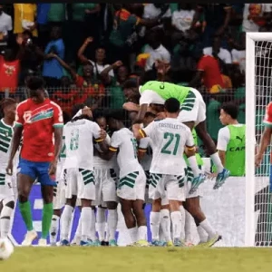 Сборная Сенегала одержала победу над командой Гвинеи и заняла первое место в группе, выходя в плей-офф Кубка Африки.