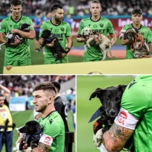 Игроки Динамо Бухареста вышли на поле с бездомными собаками на руках