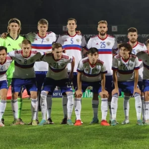 Танасиевич: сборная Боснии может прилететь на матч в Россию и без ведущих игроков, не вижу большой проблемы