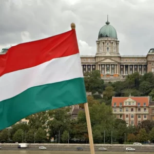 Венгрия обыграла Сербию в отборе на Евро-2024