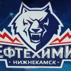 Победа "Барыса" над "Нефтехимиком" в овертайме: обзор матча КХЛ