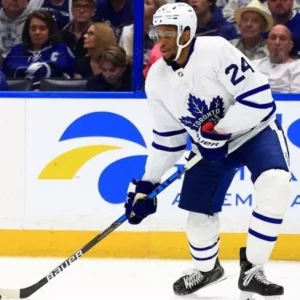 Уэйн Симмондс, 35-летний хоккеист, завершил свою карьеру после 15 сезонов в НХЛ