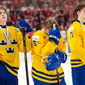 Введение запрета на ношение одежды с символикой страны для шведских хоккеистов после теракта в Брюсселе