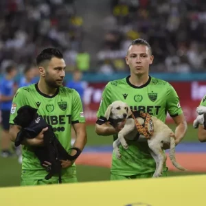 Футболисты из бухарестского «Динамо» вышли на поле с собаками, чтобы найти им дом
