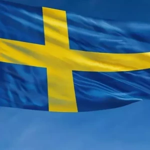 Победа Швеции над Финляндией на Швейцарских хоккейных играх