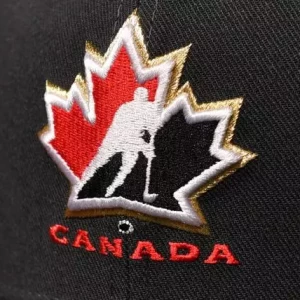 Объяснение скандала в хоккее Канады: полиция обвиняет пятерых участников команды на Чемпионате мира 2018 года в совершении сексуального насилия.