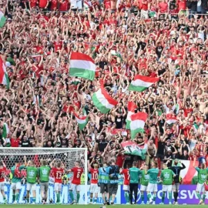Самая футбольная страна Европы! Или почему в Венгрии так сильно любят футбол?!