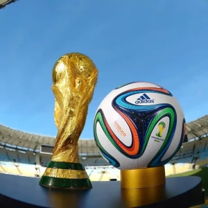 Чем запомнился Чемпионат Мира по футболу 2014?