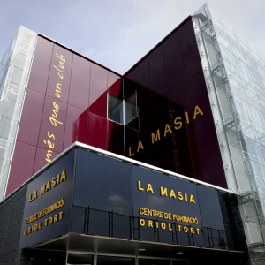 Кузницы футбольной элиты: Глобальное исследование методологий и экономики лучших академий мира