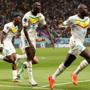 Где посмотреть прямую трансляцию матча Сенегал - Гамбия, телеканал, составы, прогноз для матча Кубка Африки