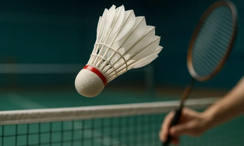 Как играть в бадминтон: все правила от подачи до счета для новичков