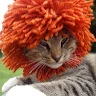 Виктор Котов