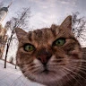 Александр Александрович