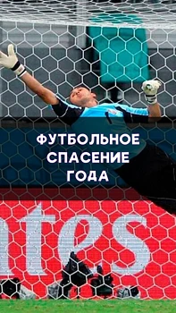 Вратарь и спасение года!